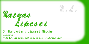 matyas lipcsei business card