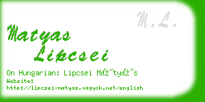 matyas lipcsei business card